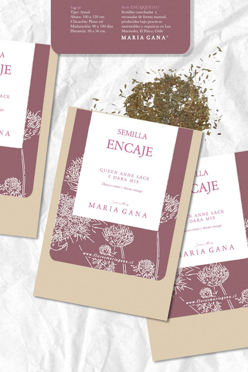 ENCAJE 'Queen Anne'