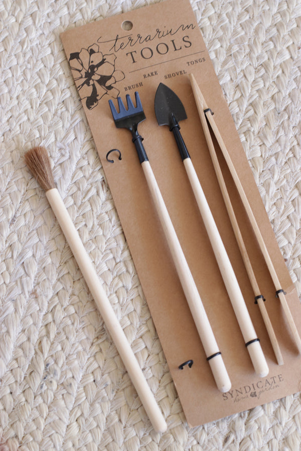 Set Almácigos